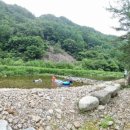 고향펜션캠핑 이미지