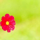 고등학교 주간 수업 이미지