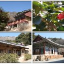 아미산모텔 이미지