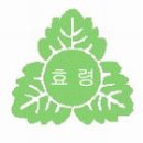 효령초등학교 이미지