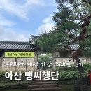 연동보건진료소 맞은편 - 1658 | 아산 맹씨행단 고불맹사성기념관 관람시간 여름방학 교육프로그램 주변카페