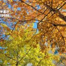 미사하늘공인중개사사무소 이미지