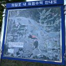 춘천역앞(근화사거리 - 춘천역 - 영서로) | ① 춘천 의암호, 봉의산 (300.5m)- ( 2024.05.28 )