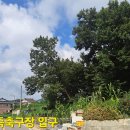 삼죽축구장 이미지