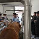 양성축산 이미지