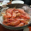 울릉도꽃새우 이미지