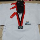 부경TIA태권도 이미지