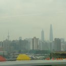 황산차이나