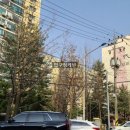 압구정-206 이미지