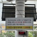 척산족욕공원 | 속초 가족여행 이색체험 척산족욕공원 이용 후기