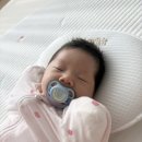 배떡 수유점 | 2026.3.7 ~ 3.8 주말 일상