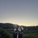 복닥복닥 이미지