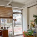 1336. 성북3교 위 | 보문동 성북천 카페 추천 ‘보리수’ㅣ 실시간 벚꽃 개화 상황