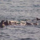고래라이브 - 동해시 대동로 111-1 | 고래라이브