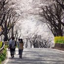 고남저수지 이미지