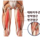 문스하우스