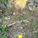 위덕대학교 대학원 이미지