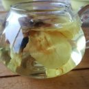 목련민박 이미지