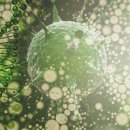 유유의원 이미지