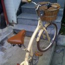 코렉스 자전거 이미지