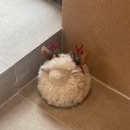 색 | 자연을 마시는 공간, 포천 소을읍 카페 사유색 감성 후기