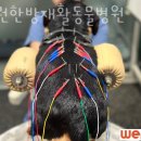 위런한방재활동물병원 이미지