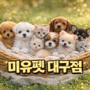 영천동물병원 네이버블로그