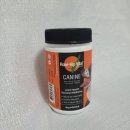 강아지 항산화 관절영양제 로즈힙 바이탈 <b>독</b> <b>케이</b>나인 종합영양제