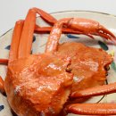 대게백화점 2호점