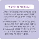 신경계질환 '콜린알포세레이트 vs 세레브로리진' 신경계질환 약물 이미지