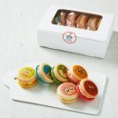 국제브레인 협동조합 이미지