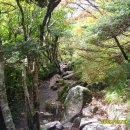 세석가는길 이미지