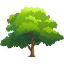 I&#39;ll Be There Where The Heart Is - Kim Carnes ＜ 여행자의 노래 시리즈 - 055 ＞ 이미지