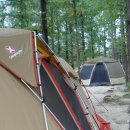 도로시팜 이미지