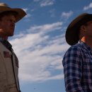 붉은황소 이미지