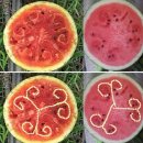 병걸농장 이미지