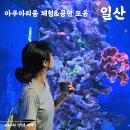 함께하는 월드 매직쇼 | 일산 아쿠아플라넷 공연 시간, 주차 입장권 할인 방법 모음
