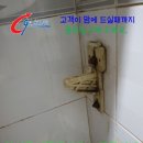 예진 당구장 네이버블로그