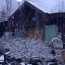 양지카운티 이미지