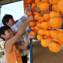 화령초교 이미지