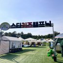 스타키즈 수영장 이미지