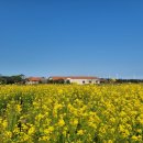 GS25 제주성읍점 이미지