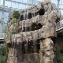 포항시북구61 이미지