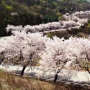 청우산방