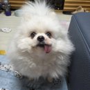 순애농장 | 그대 나의 작은 세상이 되어