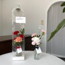 플로리그린 네이버블로그