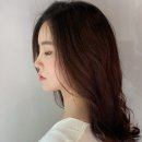 리플헤어 이미지