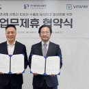 디에스 이미지