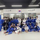 라온유도관 이미지