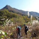 정기산행 2010. 11. 14(일) 둘째주 일요일 전남 장성 입암산(笠岩山 626m) 단풍산행 이미지